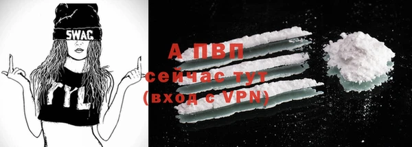 прущие грибы Магас