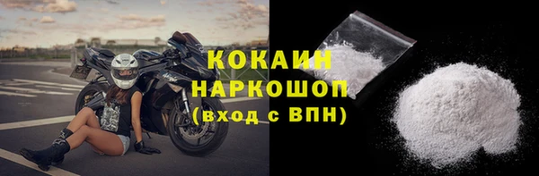 прущие грибы Магас