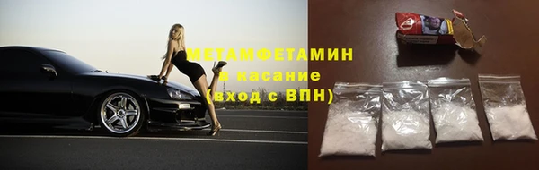 прущие грибы Магас