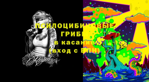 прущие грибы Магас
