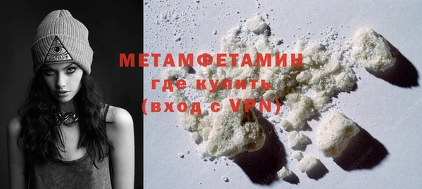 прущие грибы Магас