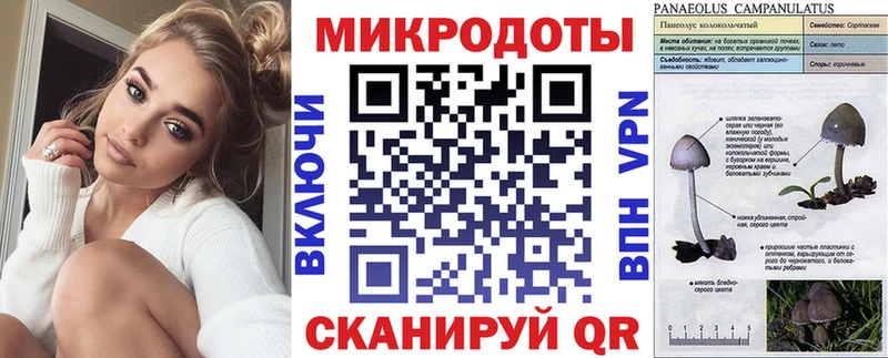 дарнет шоп Юхнов Псилоцибиновые грибы ЛСД